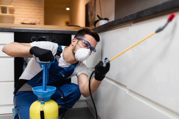 Best Affordable Pest Control Services  in Emmitsburg, MD