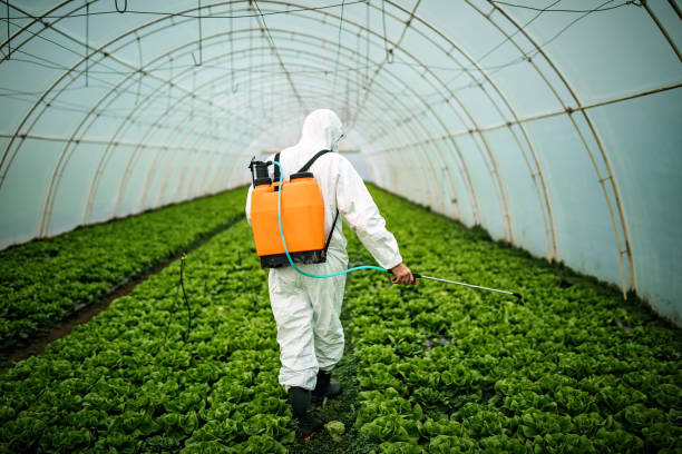 Best Best Pest Control Companies  in Emmitsburg, MD