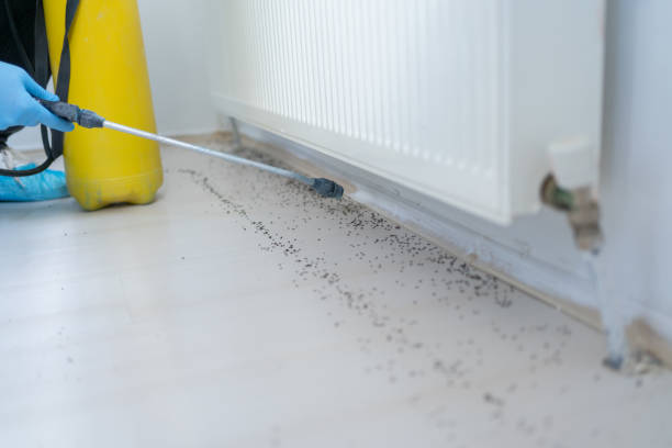 Best Residential Pest Control  in Emmitsburg, MD